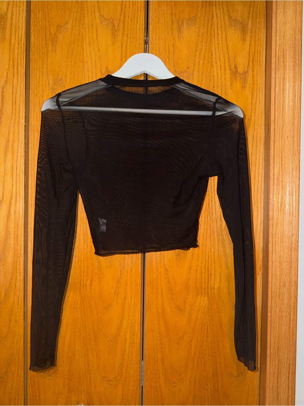 Sheer Long-Sleeve Black Crop Top